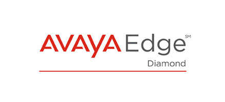Avaya support experts